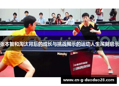 张本智和淘汰背后的成长与挑战揭示的运动人生深刻启示