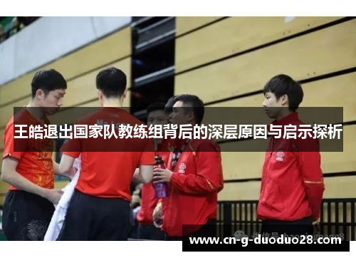 王皓退出国家队教练组背后的深层原因与启示探析 王皓退出国家队教练组背后的深层原因与启示探析