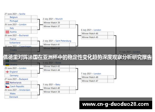 佩德里对阵法国在亚洲杯中的稳定性变化趋势深度观察分析研究报告