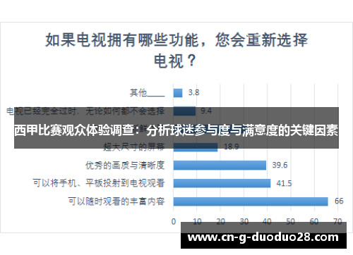 西甲比赛观众体验调查：分析球迷参与度与满意度的关键因素