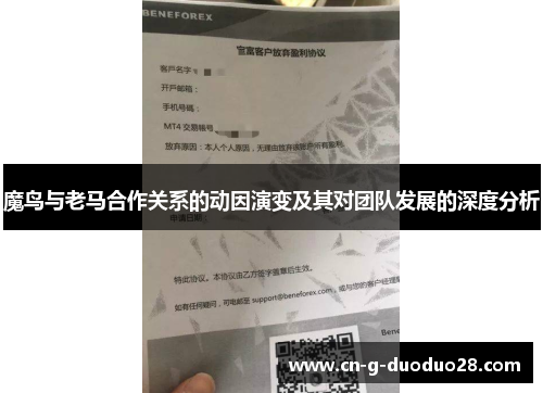 魔鸟与老马合作关系的动因演变及其对团队发展的深度分析